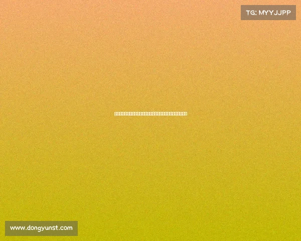 二零二四赛季一级方程式世界锦标赛高速竞技与技术革新巅峰对决